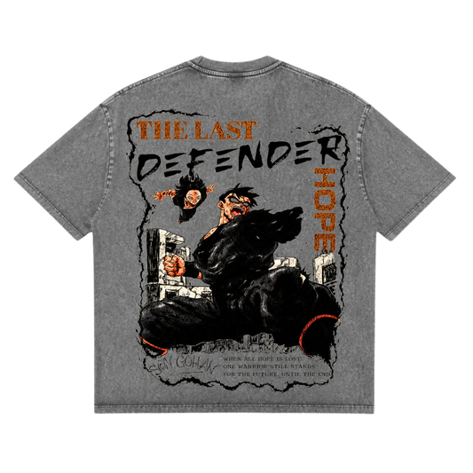 The Last Defender:  Future Gohan